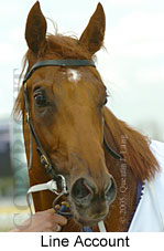 Line Account (16564 bytes)