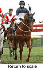 Return to scale (16103 bytes)