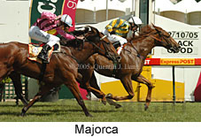 Majorca (16564 bytes)