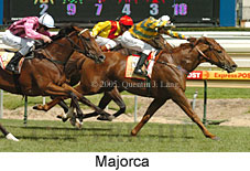 Majorca (16564 bytes)