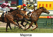 Majorca (16564 bytes)