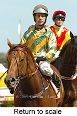 Return to scale (16103 bytes)