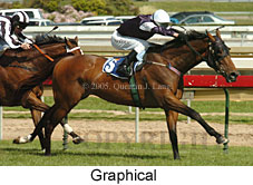 Graphical (16564 bytes)