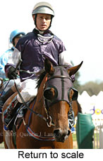 Return to scale (16103 bytes)