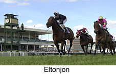 Eltonjon (16564 bytes)