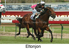 Eltonjon (16564 bytes)