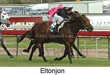 Eltonjon (16564 bytes)