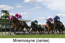 Mnemosyne (15397 bytes)