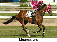 Mnemosyne (16564 bytes)