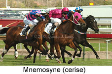 Mnemosyne (16564 bytes)