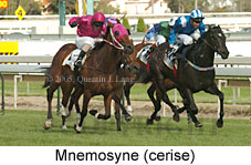 Mnemosyne (16564 bytes)