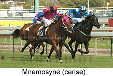 Mnemosyne (16564 bytes)