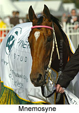 Mnemosyne (16564 bytes)