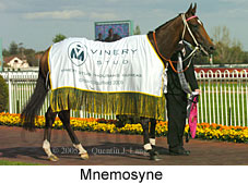 Mnemosyne (16564 bytes)