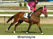 Mnemosyne (16564 bytes)