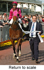 Return to scale (16103 bytes)