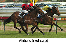 Matras (16564 bytes)