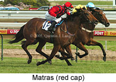 Matras (16564 bytes)