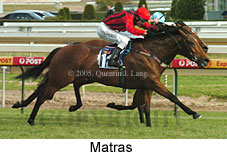 Matras (16564 bytes)