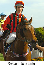 Return to scale (16103 bytes)