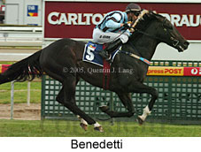 Benedetti (16564 bytes)