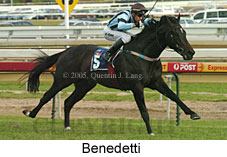 Benedetti (16564 bytes)