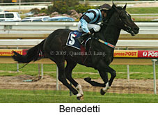 Benedetti (16564 bytes)