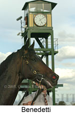 Benedetti (16564 bytes)