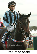 Return to scale (16103 bytes)