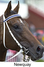 r1newquay2.jpg (11192 bytes)