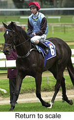 r2rtosc.jpg (15231 bytes)