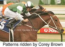 r3patterns.jpg (14990 bytes)