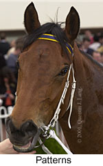 r3patterns2.jpg (10819 bytes)