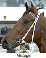 r4mistegic2.jpg (11528 bytes)