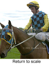 r4rtosc.jpg (12519 bytes)