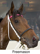 r5freemason2.jpg (10394 bytes)