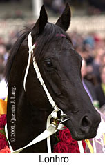 r6lonhro2.jpg (12423 bytes)