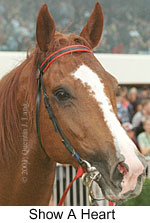 r8showaheart2.jpg (12323 bytes)
