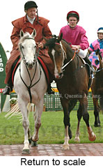 Return to scale (16103 bytes)