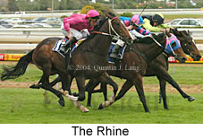 The Rhine (16589 bytes)