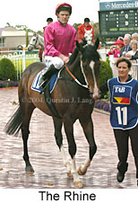 The Rhine (16943 bytes)