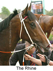 The Rhine (14744 bytes)