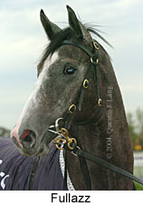 Fullazz (10300 bytes)