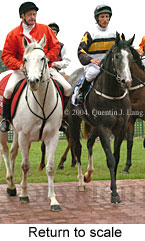 Return to scale (16701 bytes)