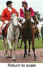 Return to scale (15324 bytes)