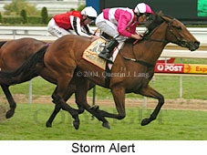 Storm Alert (17207 bytes)