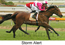 Storm Alert (15781 bytes)