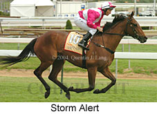 Storm Alert (15826 bytes)