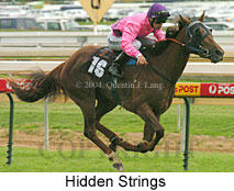 Hidden Strings (17207 bytes)