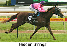 Hidden Strings (17207 bytes)